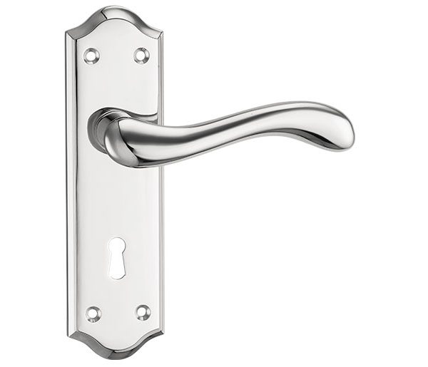 distinctive door lever