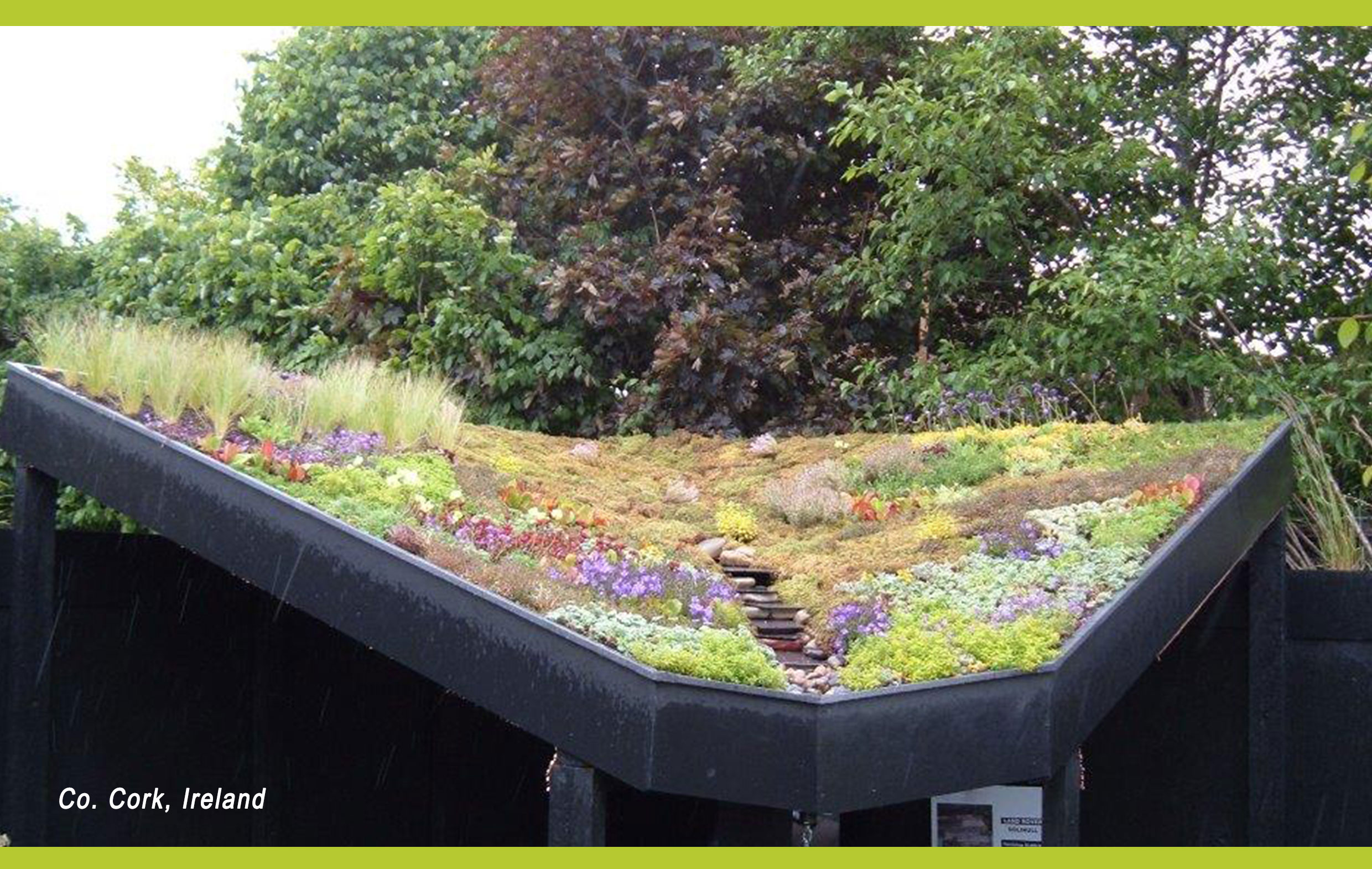 Alkor-Green-Roof-2