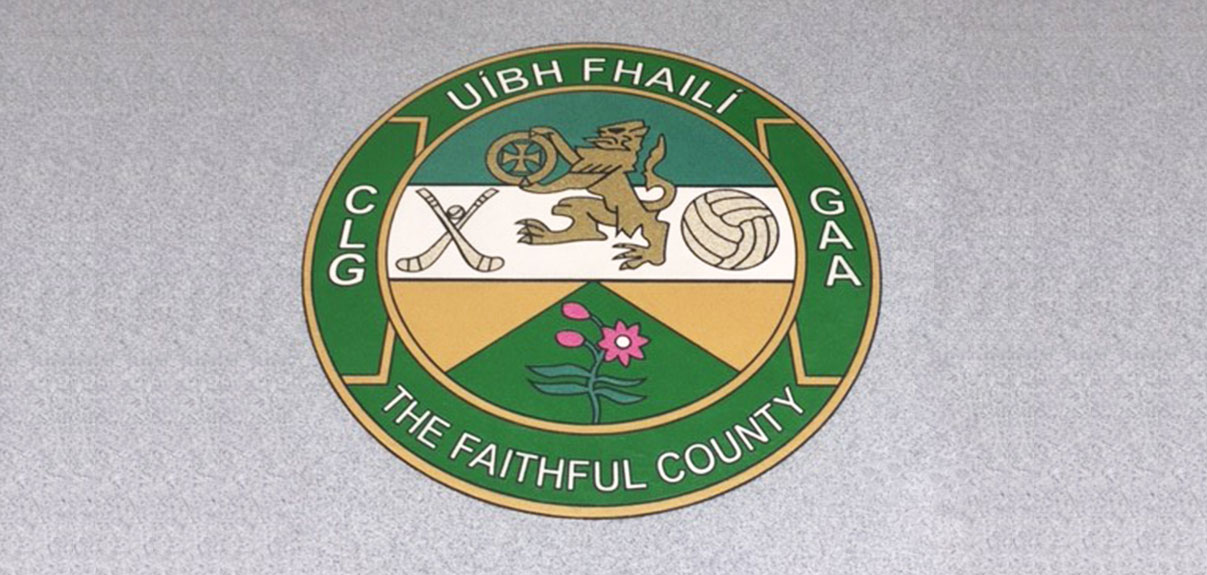 GAA Centre of Excellence Case Study Laydex Roofing Solutions