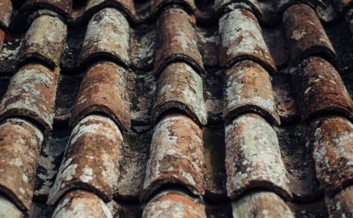 How To: Clean and Maintain a Roof