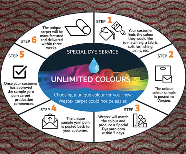 westex special dye service steps explained
