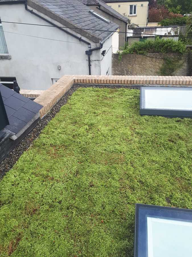 Sedum green roof in Clontarf Ireland
