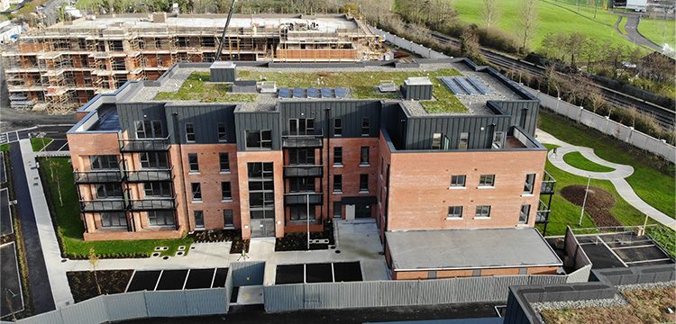 Residential Green Roof Project – The Paddocks, Newbridge