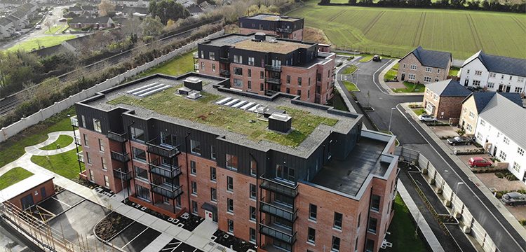Residential Green Roof Project – The Paddocks, Newbridge