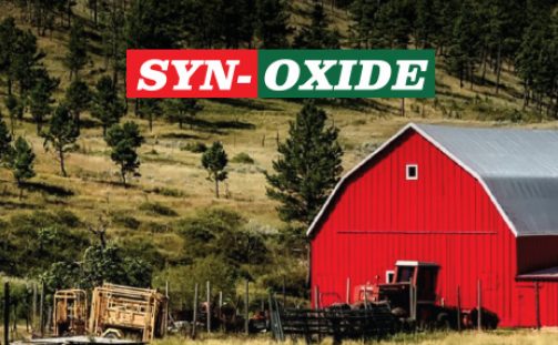 Did You Know? 6 Facts About SYN-OXIDE Paint