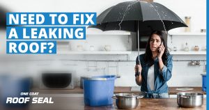 ROOF SEAL: The Solution to Problems in Flat Roofs | Laydex